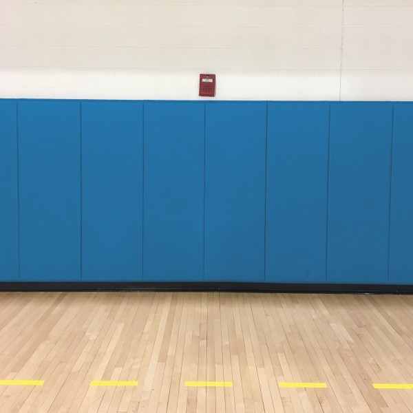EnviroSafe Gymnasium Wall Padding 2' x 5' x 1.375" Extra-Firm Indoor Wall Pad (Royal Blue)
