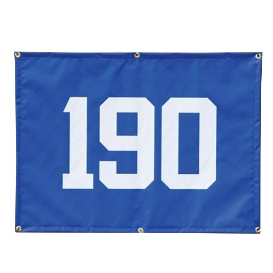 38" X 56" Distance Banner - Blue