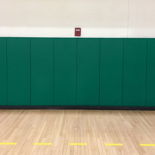 2' X 5' X 2" Printed Medium Firm Indoor Wall Pad - Green