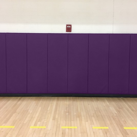 EnviroSafe Gymnasium Wall Padding 2' x 5' x 1.375" Extra-Firm Indoor Wall Pad (Purple)