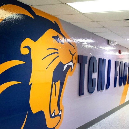 CoverSports Permanent Adhesive Vinyl Graphic w/ Textured Surface - Custom Size & Printing