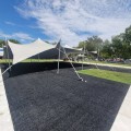 hoiceTurf Black Synthetic Turf Roll (6' x 100')
