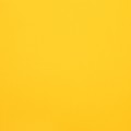 FieldSaver Endurcoat 10' Round Rain Baseball Spot Cover with 5 Stakes (18 oz Vinyl)  Yellow