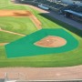 FieldSaver 2 Pc Baseball Baseball Batting Practice ArmorMesh Field Protector Collar - Kelly Green