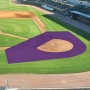 FieldSaver 2 Pc Baseball Baseball Batting Practice ArmorMesh Field Protector Collar - Purple