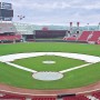 Baseball Baseline Infield Skin / Baseline Tarps (Set of 2)