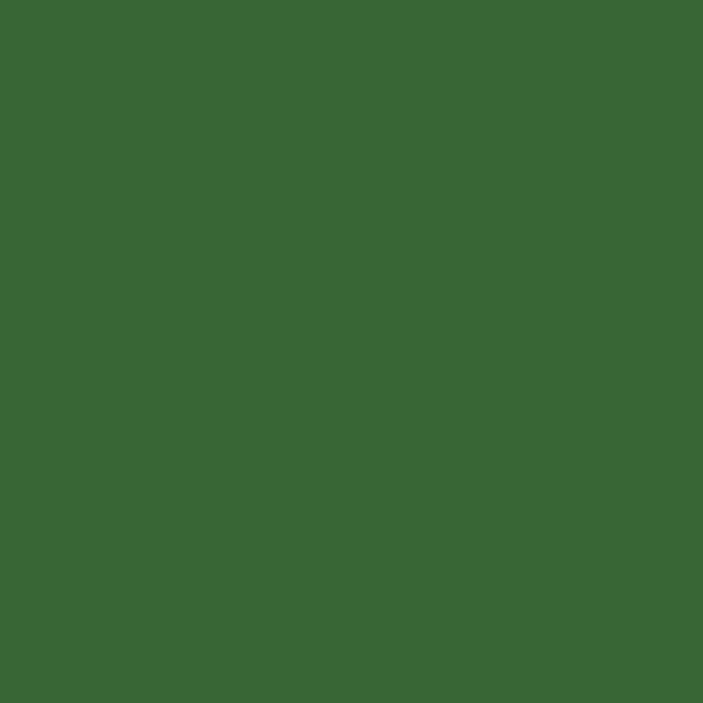 
 Green Color Swatch